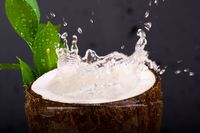 Si Kecil Mulai Sekolah? Yuk, Bawakan Bekal Minuman Sehat 