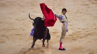 Festival San Fermin kembali digelar di Kota Pamplona, Spanyol. Salah satu aksi yang paling ditunggu dalam festival itu adalah penampilan matador yang akan menunjukkan kemampuannya menundukkan banteng. Alvaro Barrientos/AP Photo.
