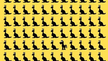 Temukan kuda pada gambar ini. (Foto: Brightside)