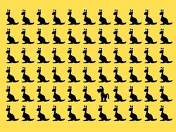 Uji Kecepatan dan Ketajaman Mata Lewat Gambar Ini