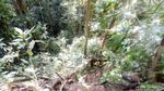 Foto: Air Terjun Berjalur Ekstrem dari Dompu
