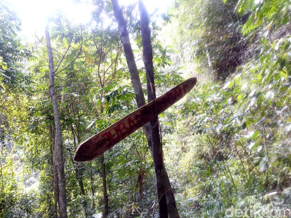 Justru karena hal tersebut membuat air terjun ini dijuluki sebagai spot wisata yang memacu adrenalin sekaligus bertualang di hutan rimba (Faruk Nickyrawi/detikcom) Justru karena hal tersebut membuat air terjun ini dijuluki sebagai spot wisata yang memacu adrenalin sekaligus bertualang di hutan rimba (Faruk Nickyrawi/detikcom)