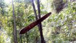 Foto: Air Terjun Berjalur Ekstrem dari Dompu