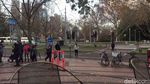 Foto: Cara Menyeberang Jalan yang Aman di Australia