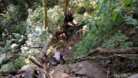 Lokasinya ada di Kabupaten Dompu, Nusa Tenggara Barat (NTB). Air Terjun Sori Panca berada tepat di Desa Saneo, Kecamatan Woja (Faruk Nickyrawi/detikcom)