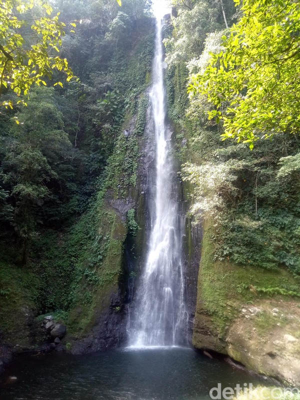Air Terjun Sori Panca memiliki tingginya mencapi 70-80 meter. Jika menggunakan sepeda motor harus menempuh jarak hingga 3 jam melewati hutan rimbun yang masih alami (Faruk Nickyrawi/detikcom) Air Terjun Sori Panca memiliki tingginya mencapi 70-80 meter. Jika menggunakan sepeda motor harus menempuh jarak hingga 3 jam melewati hutan rimbun yang masih alami (Faruk Nickyrawi/detikcom)