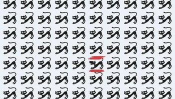 Jawabannya.  (Foto: Brightside)