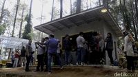 Nikmatnya Menyeruput Secangkir Kopi di Tepi Hutan Pinus 