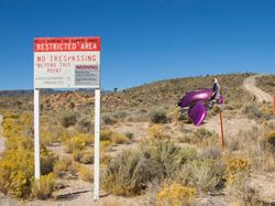Ragam Strategi Konyol Netizen untuk Kuasai Area 51