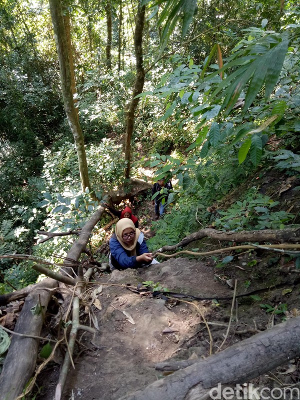 Air Terjun Sori Panca terkenal dengan jalurnya yang ekstrem sehingga menyulitkan orang. Desa Saneo merupakan salah satu dari 99 Desa Wisata dalam Peraturan Gubernur NTB tahun 2019 (Faruk Nickyrawi/detikcom) Air Terjun Sori Panca terkenal dengan jalurnya yang ekstrem sehingga menyulitkan orang. Desa Saneo merupakan salah satu dari 99 Desa Wisata dalam Peraturan Gubernur NTB tahun 2019 (Faruk Nickyrawi/detikcom)