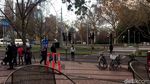 Jangan Asal Nyelonong, Ini Cara Nyeberang Jalan di Melbourne