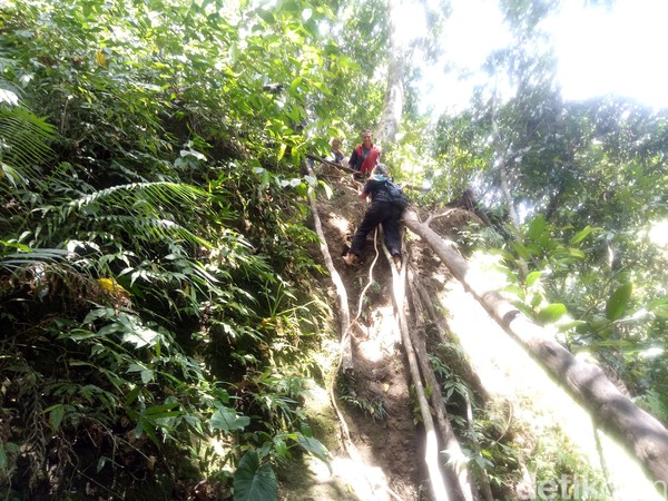 Kamu harus menuruni jurang yang cukup terjal dengan ketinggian mencapi 10 meter. Pegiat wisata setempat menamai jurang tersebut adalah Jurang Lebah (Faruk Nickyrawi/detikcom) Kamu harus menuruni jurang yang cukup terjal dengan ketinggian mencapi 10 meter. Pegiat wisata setempat menamai jurang tersebut adalah Jurang Lebah (Faruk Nickyrawi/detikcom)