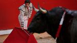 Aksi Matador Bertarung Melawan Banteng di Festival San Fermin