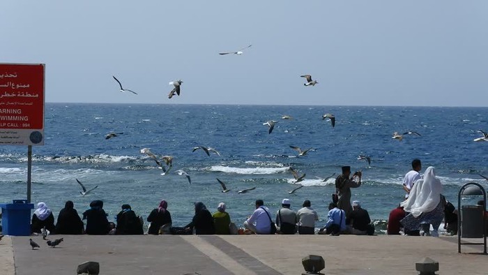 Pantai di Jeddah.