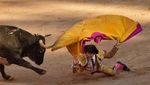 Aksi Matador Bertarung Melawan Banteng di Festival San Fermin