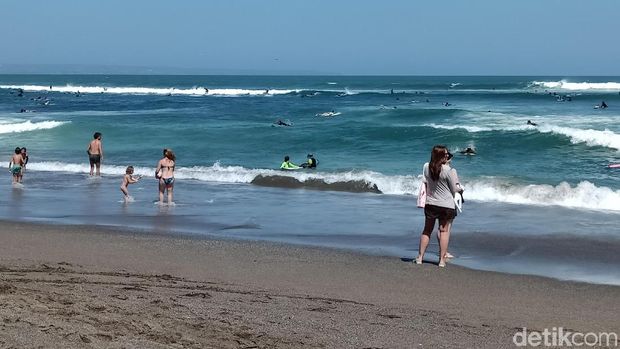 Heboh Ikan-ikan Mengambang di Pantai Canggu Semalam Sebelum Gempa Bali
