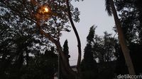 Penampakan Lampu Jalan Mati Imbas Walkot Tangerang Vs Menkum HAM