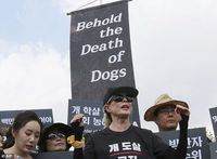Didemo Pencinta Hewan, Peternak Anjing Ini Malah Sengaja Makan Daging Anjing