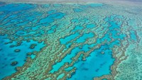 Karang Penghalang Besar adalah terumbu karang terbesar di dunia yang berada di Australia. Lokasi ini juga bisa menjadi selam permukaan, selam scuba, mengamati ikan paus, serta berenang dengan lumba-lumba. mroz/Getty Images.