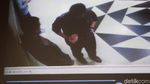 Ini Bukti CCTV Pengawal KPK Terima Uang dari Idrus Marham