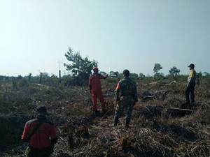 Taman Nasional Tesso Nilo Riau Terbakar, Gajah Liar Dinyatakan Aman
