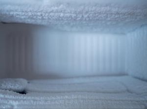 5 Trik Mencairkan Bunga Es Freezer yang Cepat dan Aman, Pernah Coba?