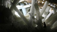Gua Crystals ini ditemukan oleh para petambang Meksiko, memiliki ruangan utama yang mempunyai kristal selenite raksasa dan yang terbesar mempunyai panjang 12 meter dan berat hingga 55 ton. Alexander Van Driessche [CC BY 3.0 (https://creativecommons.org/licenses/by/3.0)].