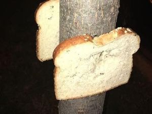 Tren Baru yang Aneh di Inggris, Staples Roti ke Pohon