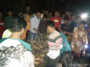 Bersihkan Lahan, Warga di Rembang Tewas Terbakar