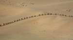 Foto: Oasis Ajaib di Padang Gurun Bernyanyi China