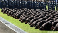 Para perwira baru itu juga sujud syukur bersama di halaman Istana Merdeka.