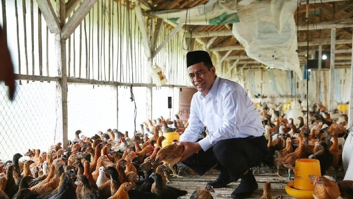 Foto: Dok Kementan Foto: Dok Kementan