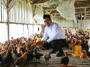 Hari Ini, Amran Sulaiman Kembali Dilantik Jokowi Jadi Mentan