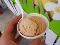 Karena Tersaingi Wanita Ini Nekat Kencingi Mesin Pembuat Es Krim Tetangganya