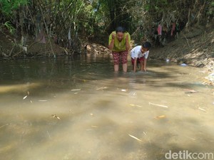 Jeritan Korban Kekeringan di Mojokerto, PDAM Tak Kunjung Datang