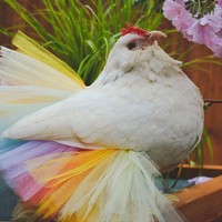 Ayam putih gemuk dan memiliki jengger merah ini terlihat gemas memakai kain tulle warna warni ungu, putih, kuning, orange, magenta, dan biru. Milik akun Instagram @dora_the_chicken. Foto: Instagram @dora_the_chicken