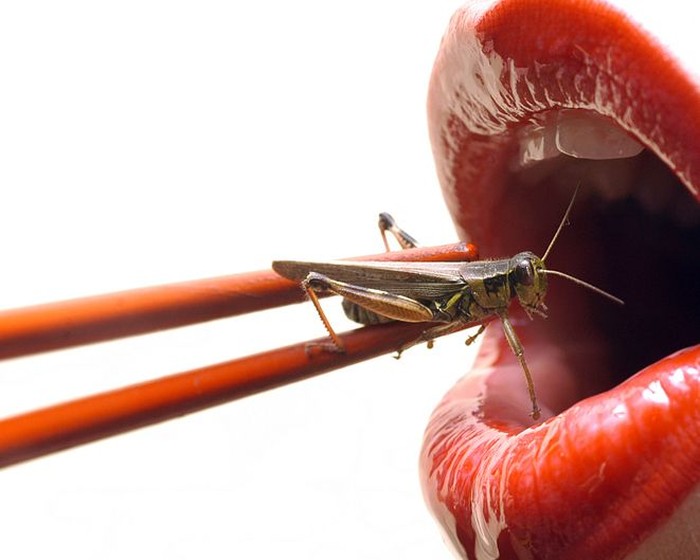 Foto: iStock Foto: iStock