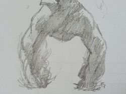 Pose Gagak Ini Sempat Viral, Penjelasannya Mungkin Sederhana