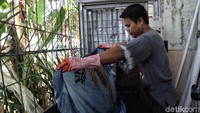 Seorang perajin melakukan pewarnaan terhadap kain yang telah dilukis.