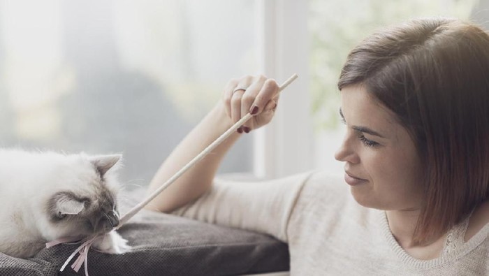 toksoplasma Woman playing with her cat at home next to a window, pets and lifestyle concept
