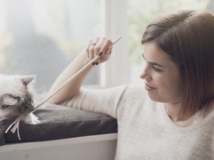 AS Sarankan Hewan Peliharaan Ikuti Social Distancing Selama Pandemi Corona