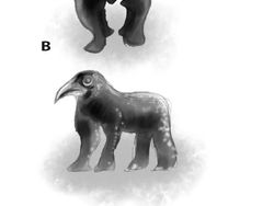 Pose Gagak Ini Sempat Viral, Penjelasannya Mungkin Sederhana