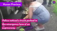Nekat Masak di Jalan Tol, Pasangan Asal China Ini Didenda Polisi