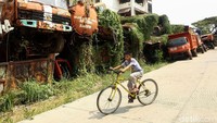 Seorang anak bermain sepeda di depan tumpukan truk yang telah rusak.