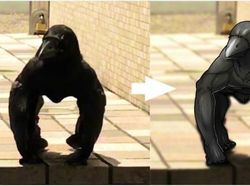 Pose Gagak Ini Sempat Viral, Penjelasannya Mungkin Sederhana