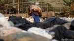 Potret Nyata Tumpukan Sampah Plastik di Sekitar Kita