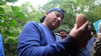 Telur burung Maleo berukuran cukup besar. Nantinya telur ini akan ditetaskan hingga jadi anakan burung Maleo. (dok. Humas Bone Bolango)
