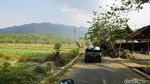 Foto Menembus Pedesaan Magelang dengan Mobil VW Camat
