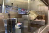 Wuih! Restoran Hong Kong Ini Pakai Robot Pelayan