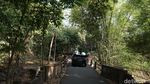Foto Menembus Pedesaan Magelang dengan Mobil VW Camat